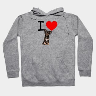 I HEART FLUFFY Chihuahua Hoodie